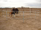 Travel-n-Corrals horse corrals go with your trailer