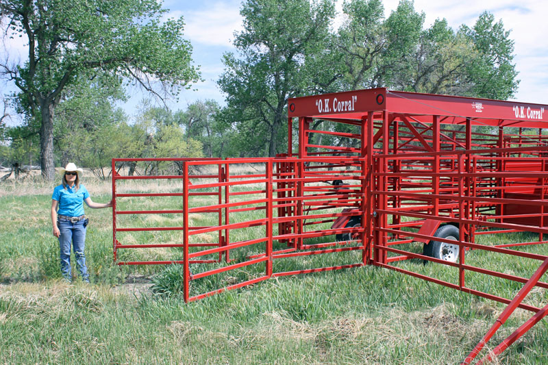 titan cattle squeeze chutes