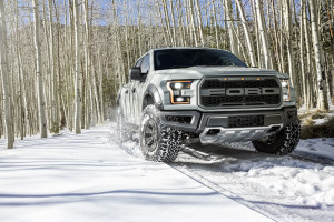 Gray_Raptor_Flagstaff_Snow_0074-2500px