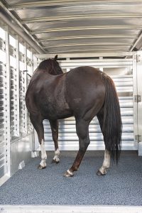 Hoof Grip Trailer Flooring